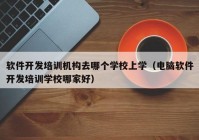 软件开发培训机构去哪个学校上学（电脑软件开发培训学校哪家好）