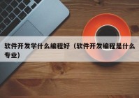 软件开发学什么编程好（软件开发编程是什么专业）